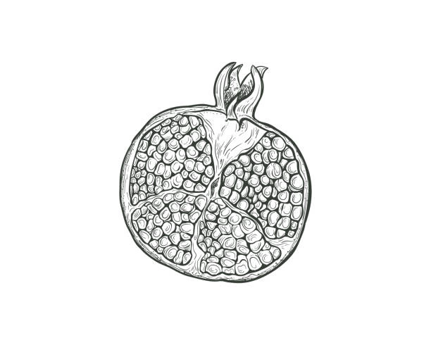 Pomegranate antistress coloring page